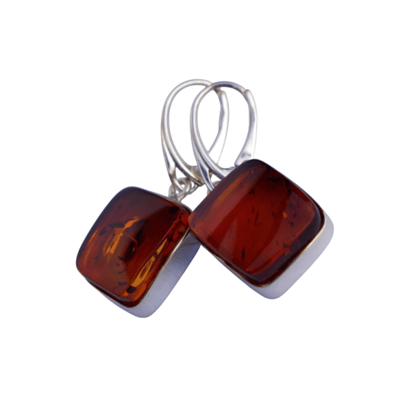 a pair of earrings with amber stones