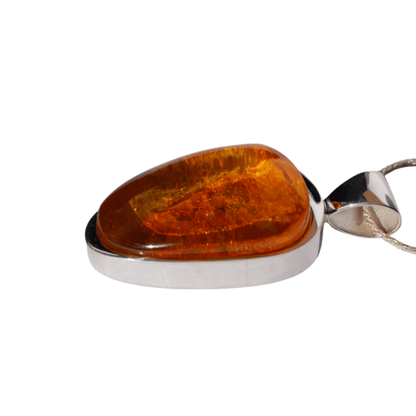 a amber pendant on a silver chain