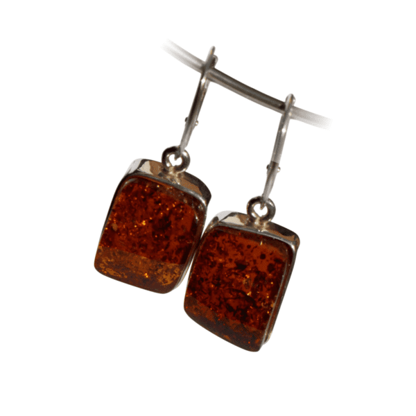 a pair of earrings with amber stones