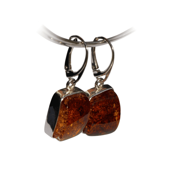 a pair of earrings with amber stones