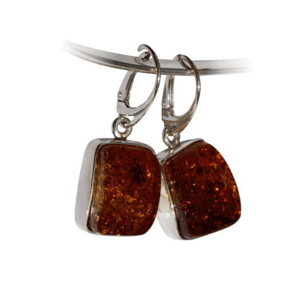 a pair of earrings with amber stones